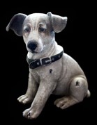 Urn steen hondje hoofd eraf 800